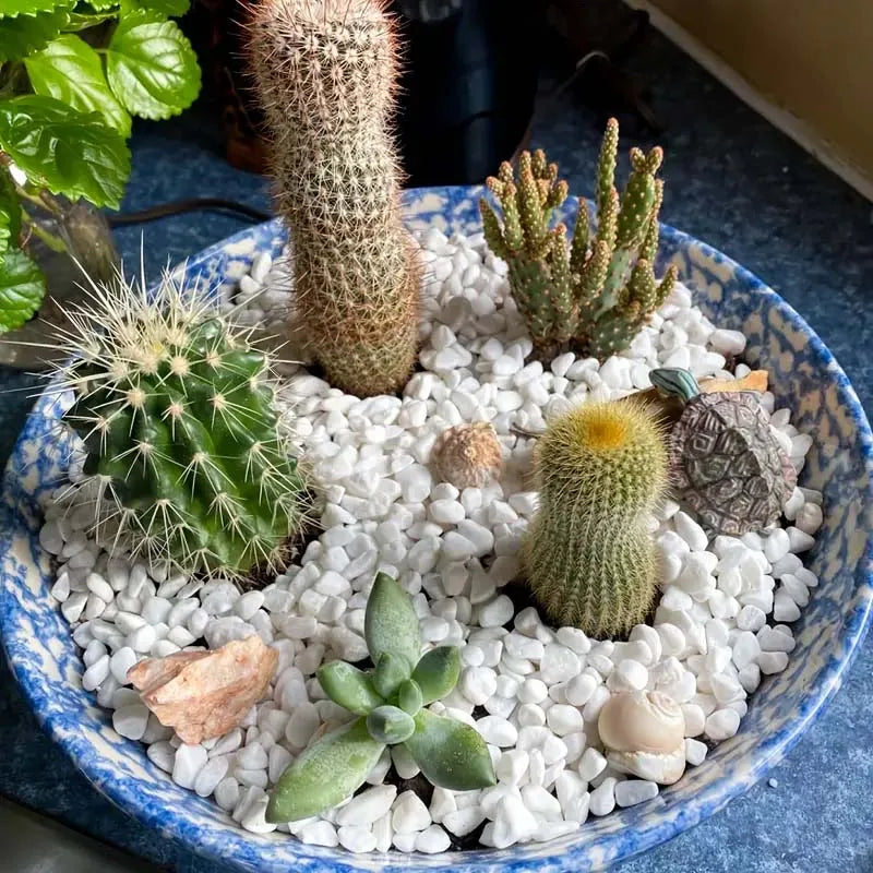 Decorative White Pebbles